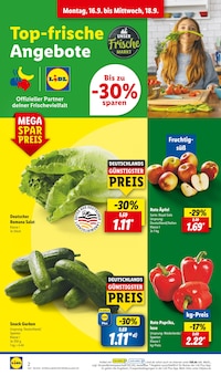 Aktueller Lidl Prospekt