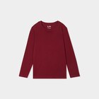 T-shirt manches longues bordeaux garçon dans le catalogue La Halle