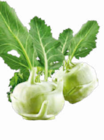 Kohlrabi Angebote bei Netto Marken-Discount Hagen für 1,00 €