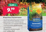Herbstrasen Angebote von Kiepenkerl bei Kiebitzmarkt Wesel für 9,99 €