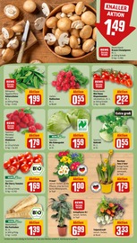 Blumen im REWE Prospekt in Norderstedt Aktueller REWE Prospekt mit Blumen, "Dein Markt", Seite 7