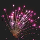 Aktuelles Raketen Sortiment Midnight Legends Angebot bei EDEKA in Neumünster ab 19,99 €