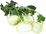 Kohlrabi von  im aktuellen EDEKA Prospekt für 0,44 €
