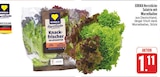 EDEKA - Salatrio mit Wurzelballen Angebot im Prospekt Salatrio mit Wurzelballen bei EDEKA im Prospekt "" für 1,11 €