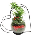 Composition en verrerie à Carrefour dans Coquelles