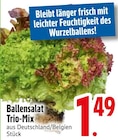 Ballensalat Trio-Mix bei EDEKA im Waldkirchen Prospekt für 1,49 €