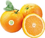 Orangen 'Navelinas' bei EDEKA im Stadtlohn Prospekt für 2,49 €