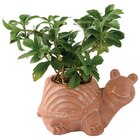 Cache-pot "Tortue" ECLOZ - ECLOZ à 8,99 € dans le catalogue Jardiland
