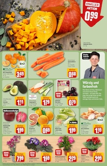 Pflanzen im aktuellen REWE Prospekt (Wiesbaden) Pflanzen im REWE Prospekt "Dein Markt" mit 34 Seiten (Wiesbaden)