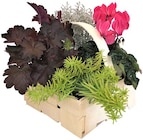 Penny München - Herbstlicher Spankorb Angebot im Prospekt Herbstlicher Spankorb bei Penny im München Prospekt für 4,99 €