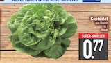 Kopfsalat Angebote bei EDEKA München für 0,77 €