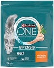 Katze Trockenahrung im Angebot bei Rossmann in Lingen Katze Trockenahrung Angebote von Purina One bei Rossmann Lingen für 2,99 €