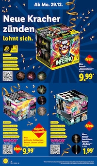 Feuerwerk im Lidl Prospekt "Guten Rutsch ins neue Jahr 2026" mit 16 Seiten (Neumünster)