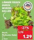 Kaufland Andernach - Dtsch. Multicolor-Salat Angebot im Prospekt Dtsch. Multicolor-Salat bei Kaufland im Andernach Prospekt für 1,29 €