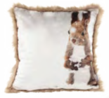 Deko-Kissen im Angebot bei AWG in Bautzen Deko-Kissen Angebote bei AWG Bautzen für 9,99 €