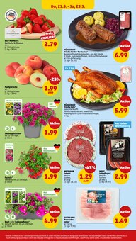Erdbeeren im Penny Prospekt "Wer günstig will, muss Penny." mit 45 Seiten (Stuttgart)