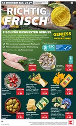 Antipasti Angebot & Preis im aktuellen Kaufland Prospekt Antipasti Angebot im aktuellen Kaufland Prospekt auf Seite 35