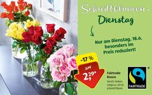 Rosen bei ALDI SÜD in Mainz Rosen im Angebot bei ALDI SÜD Mainz für 2,29 €
