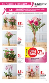 Promos Orchidée dans le catalogue "SUPER U" de Super U Orchidée en promo dans le catalogue Super U à la page 27