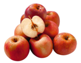 POMMES GALA - SANS MARQUE en promo à 1,69 € chez Auchan Hypermarché POMMES GALA - SANS MARQUE dans le catalogue Auchan Hypermarché
