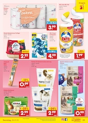 Katzenfutter im Netto Marken-Discount Prospekt in Rheine Aktueller Netto Marken-Discount Prospekt mit Katzenfutter, "Aktuelle Angebote", Seite 37
