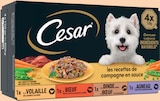 Pâtée en sauce pour chien à la viande - Cesar en promo chez Intermarché Hyper Pâtée en sauce pour chien à la viande - Cesar dans le catalogue Intermarché Hyper