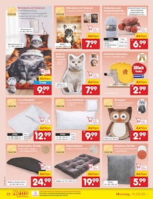 Teppich im Netto Marken-Discount Prospekt "Aktuelle Angebote" mit 56 Seiten (Erlangen)