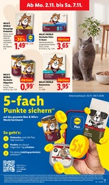 Katzenstreu im Lidl Prospekt in Minden Aktueller Lidl Prospekt mit Katzenstreu, "LIDL LOHNT SICH", Seite 23