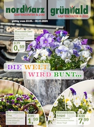 Garten-Center Nordharz GmbH & Co. KG Prospekt für Peine: "Die Welt wird bunt", 12 Seiten, 23.03.2024 - 30.03.2024