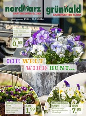 Aktueller Garten-Center Nordharz GmbH & Co. KG Garten & Pflanzen Prospekt in Vahlberg und Umgebung, "Die Welt wird bunt" mit 12 Seiten, 23.03.2024 - 30.03.2024