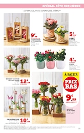 Prix et réduction Bouquet De Fleurs dans le prospectus U Express en cours Offre Bouquet De Fleurs dans le catalogue U Express du moment à la page 25