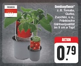 EDEKA Plauen - Gemüsepflanze z.B. Tomate, Gurke, Zucchini, u.a. Angebot im Prospekt Gemüsepflanze z.B. Tomate, Gurke, Zucchini, u.a. bei EDEKA im Plauen Prospekt für 0,79 €
