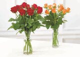 U Express Briare - Promo Bouquet de 10 roses Promo Bouquet de 10 roses à 4,39 € dans le catalogue U Express à Briare