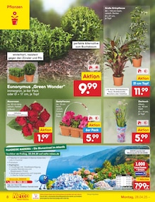 Blumen im aktuellen Netto Marken-Discount Prospekt (Pforzheim) Blumen im Netto Marken-Discount Prospekt "Aktuelle Angebote" mit 44 Seiten (Pforzheim)