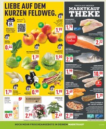 Obst im aktuellen Marktkauf Prospekt (Dortmund) Obst im Marktkauf Prospekt "Aktuelle Angebote" mit 26 Seiten (Dortmund)