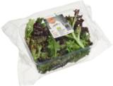 Bio-Salat Mix von demeter tegut... im aktuellen tegut Prospekt für 0,99 €