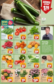 Zucchini im REWE Prospekt in Kassel Aktueller REWE Prospekt mit Zucchini, "Dein Markt", Seite 7
