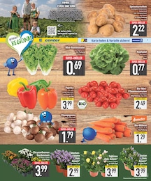 EDEKA Gartenpflanzen im Prospekt 
