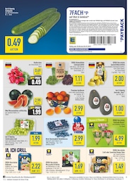 diska Wassermelone im Prospekt 