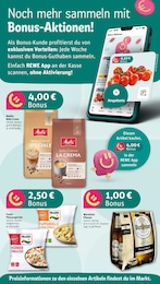 REWE Frosta im Prospekt 