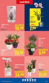 Promos Vase dans le catalogue "Ça vaut le coup." de Lidl Vase en promo dans le catalogue Lidl à la page 27