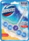 WC-Stein Angebote von Domestos bei Netto Marken-Discount Nettetal für 1,11 €