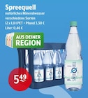 Aktuelles Spreequell Angebot bei Getränke Hoffmann in Potsdam ab 5,49 €