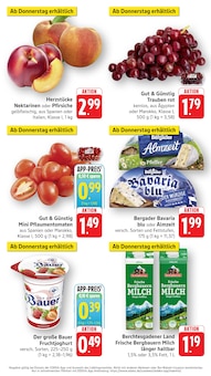 Tomaten im aktuellen EDEKA Prospekt (Heidelberg) Tomaten im EDEKA Prospekt "Aktuelle Angebote" mit 17 Seiten (Heidelberg)