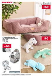 Woolworth Hundebett im Prospekt Woolworth Hundebett im Prospekt