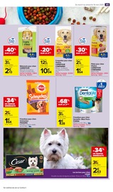 Croquettes Chien Angebote im Prospekt "Carrefour market" von Carrefour Market auf Seite 51