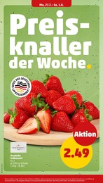Erdbeeren Angebot & Preis im aktuellen Penny Prospekt Erdbeeren Angebot im aktuellen Penny Prospekt auf Seite 6