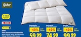 Aktuelle Bettdecke Angebote bei Lidl in Essen Aktuelles Feder-/Daunen-Kassettenbettdecke Standardgröße Angebot bei Lidl in Essen ab 59,99 €