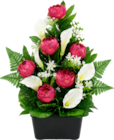 Bazarland Janville - Promo Jardinière de pivoines, arums, mini-fleurs, philodendron Promo Jardinière de pivoines, arums, mini-fleurs, philodendron à 19,99 € dans le catalogue Bazarland à Janville