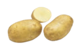 Promo Plants de pommes de terre les intraitables à 7,95 € dans le catalogue LaMaison.fr à Touques